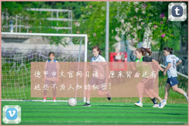 德甲中文官网日语，原来背后还有这些不为人知的秘密！