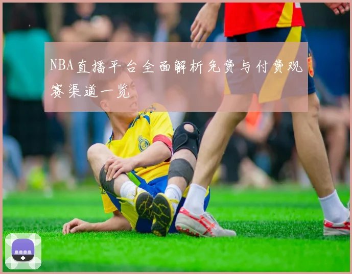 NBA直播平台全面解析免费与付费观赛渠道一览